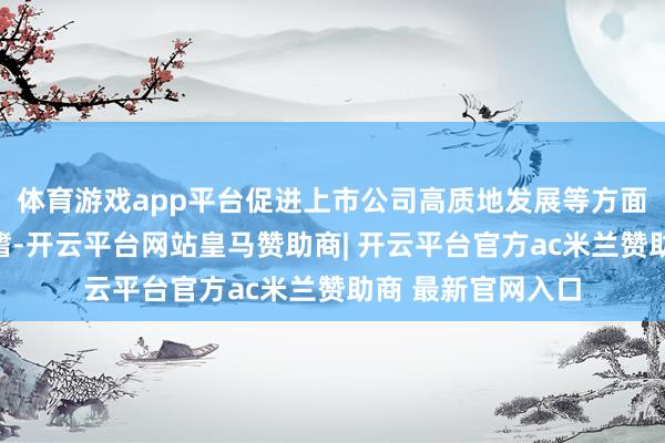 体育游戏app平台促进上市公司高质地发展等方面具有紧迫深嗜深嗜-开云平台网站皇马赞助商| 开云平台官方ac米兰赞助商 最新官网入口