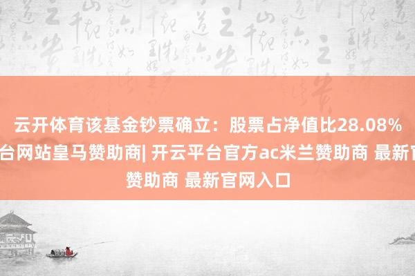 云开体育该基金钞票确立：股票占净值比28.08%-开云平台网站皇马赞助商| 开云平台官方ac米兰赞助商 最新官网入口
