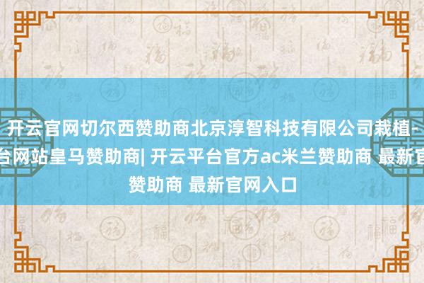 开云官网切尔西赞助商北京淳智科技有限公司栽植-开云平台网站皇马赞助商| 开云平台官方ac米兰赞助商 最新官网入口