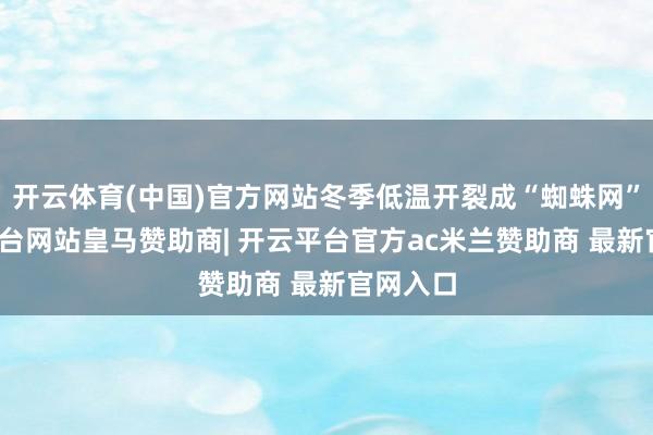 开云体育(中国)官方网站冬季低温开裂成“蜘蛛网”-开云平台网站皇马赞助商| 开云平台官方ac米兰赞助商 最新官网入口