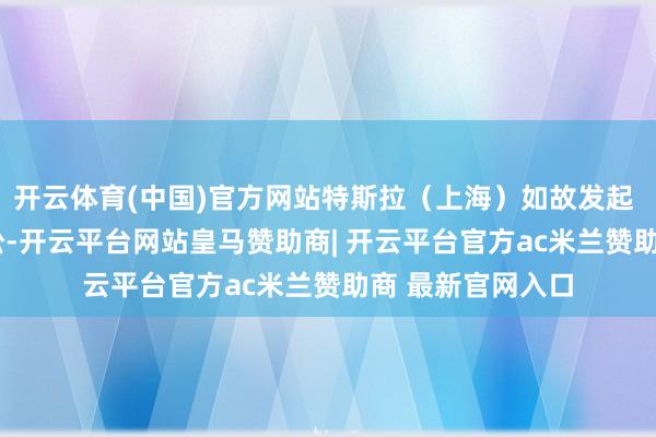 开云体育(中国)官方网站特斯拉（上海）如故发起 30 多起相似诉讼-开云平台网站皇马赞助商| 开云平台官方ac米兰赞助商 最新官网入口